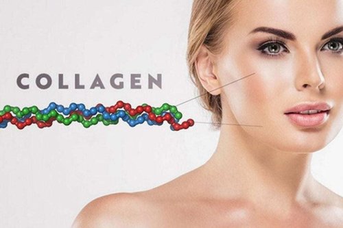 Collagen là gì.jpg